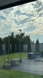 kruk_2025-07-27_16-21-31-627